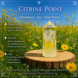 Sveženj Joyful Citrine + Allies Crystal Box