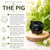 Crystal Animal Spirit Totems: Black Protection Agate Pig
