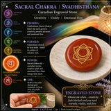 ✨Coffret de démarrage de masterclass de guérison par les cristaux de la Magicka Academy