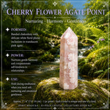43-Piece Crystal Collectors Super Kit