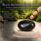 Magnetic Love Hypnosis