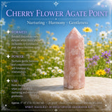 10-Piece Crystal Generator Kit