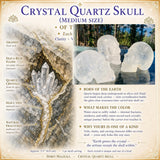 Crystal Quartz Skull (Medium Size)