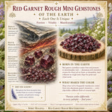 Red Garnet Rough Mini Gemstones (50 Gram / 1.7oz Lot)