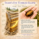 Tiger's Eye Tumbled Ellipse