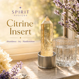 Crystal Insert (za steklenice za vodo Crystal Point) 💧