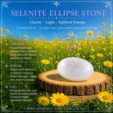 Sveženj Joyful Citrine + Allies Crystal Box