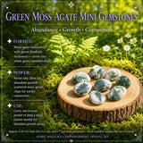 Empowerment Crystal Set