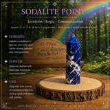 42-Piece Crystal Collectors Bundle Set