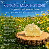 Sveženj Joyful Citrine + Allies Crystal Box