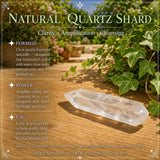 50% OFF SALE Earth Wisdom Crystal Set