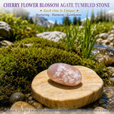 Crystal Sampler Bundle No.3. Balance & Protection