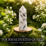 56-delni komplet Crystal Super Bundle 👉 PRIHRANITE 75 %