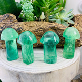 20-Piece Mushroom Gemstones Kit - collection