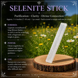 36-delni Ultimate Crystal Collectors Kit🤩