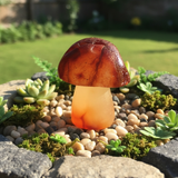 Carnelian goba