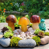 Carnelian goba