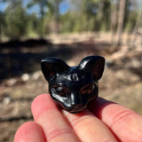 Crystal Animal Spirit Totems: Black Protection Agate Third Eye Cat