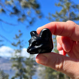 Crystal Animal Spirit Totems: Black Protection Agate Third Eye Cat