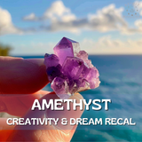 8-Piece Infinity Bundle Kit