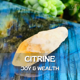 8-Piece Infinity Bundle Kit