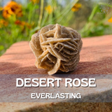 8-Piece Infinity Bundle Kit