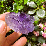 Purple Fluorite Freeform (Item #2001)
