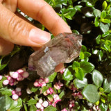 Super 7 (Item #2002)