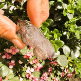 Super 7 (Item #2002)