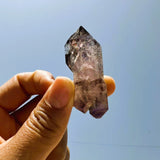 Super 7 (Item #2002)