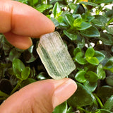 Watermelon Tourmaline Specimen