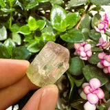 Watermelon Tourmaline Specimen