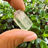 Watermelon Tourmaline Specimen