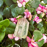 Watermelon Tourmaline Specimen