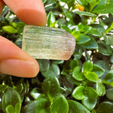 Watermelon Tourmaline Specimen
