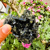 Green Tourmaline (Item #2003)