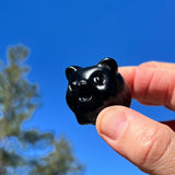 Crystal Animal Spirit Totems: Black Protection Agate Pig