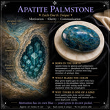 Apatite Palmstone
