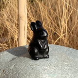 The Wisdom Keeper – Quartz Crystal Totem Set