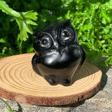 Crystal Animal Spirit Totems: Black Protection Agate Owl