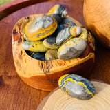 Bumblebee Yellow Jasper Tumbled Stone