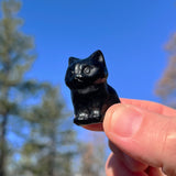 Crystal Animal Spirit Totems: Black Protection Agate Cat