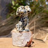 Crystal Animal Spirit Totems: Dalmatian Jasper Dog