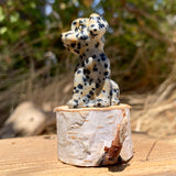 Crystal Animal Spirit Totems: Dalmatian Jasper Dog