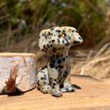 Crystal Animal Spirit Totems: Dalmatian Jasper Dog