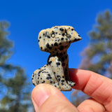 Crystal Animal Spirit Totems: Dalmatian Jasper Dog