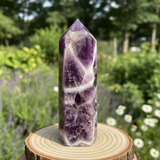 Dream Amethyst Mini Crystal Point