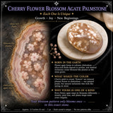 Cherry Flower Blossom Agate Palmstone