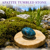 Apatite Tumbled Stone