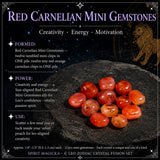 ♌ Leo - Zodiac Crystal Set